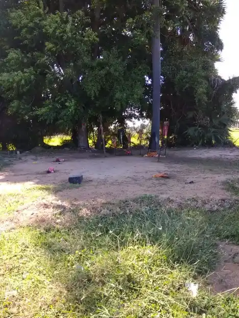 Arulmigu Kaaliyamman Temple, Pilluvalasai - 614621 அருள்மிகு காளியம்மன் திருக்கோயில், Pilluvalasai - 614621, Pudukkottai - Ancient Temple Architecture and History Image 2