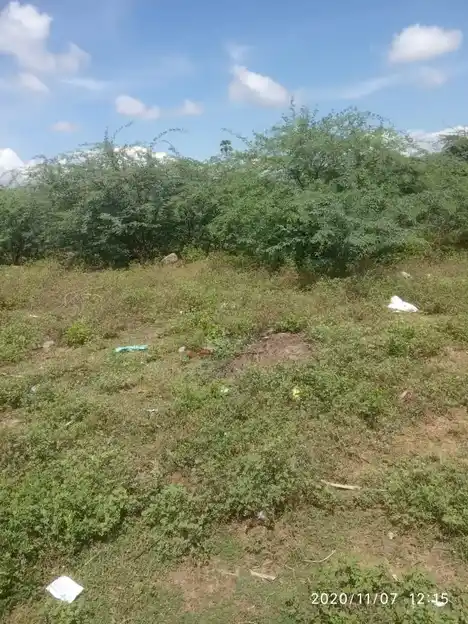 Arulmigu Kaaliyamman Temple, Pilluvalasai - 614621 அருள்மிகு காளியம்மன் திருக்கோயில், Pilluvalasai - 614621, Pudukkottai - Ancient Temple Architecture and History Image 4