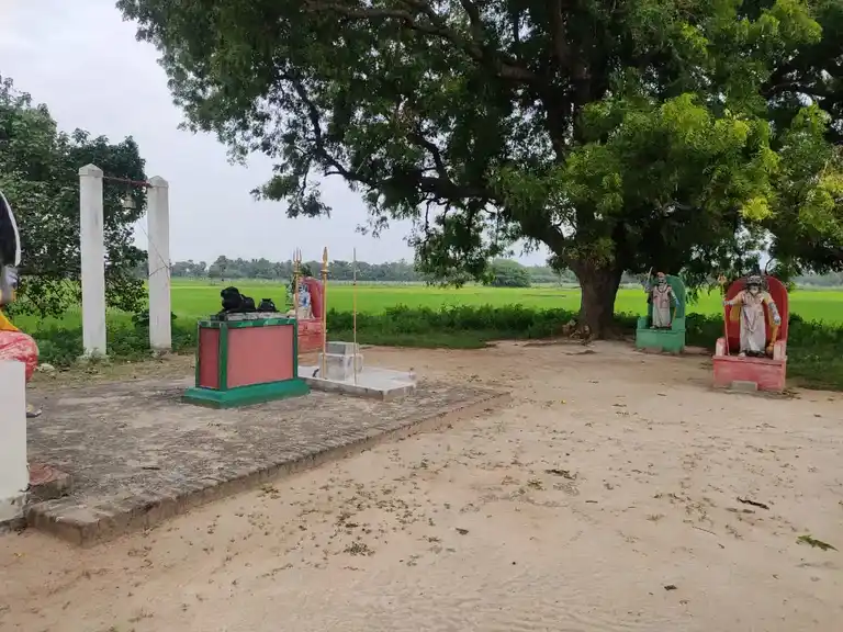 Arulmigu Kaaliyamman Temple, Sambodavishvanaathapuram - 614622