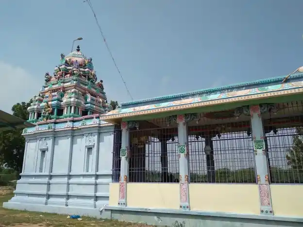 Arulmigu Kaaliyamman Temple, Thiruvirunthavayal - 614621 Temple