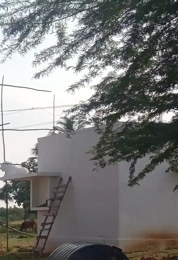 Arulmigu Kaaliyamman Temple, Visalur - 622102 அருள்மிகு காளியம்மன் திருக்கோயில், Visalur - 622102, Pudukkottai - Ancient Temple Architecture and History Image 2