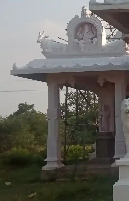 Arulmigu Kaaliyamman Temple, Visalur - 622102 அருள்மிகு காளியம்மன் திருக்கோயில், Visalur - 622102, Pudukkottai - Ancient Temple Architecture and History Image 4