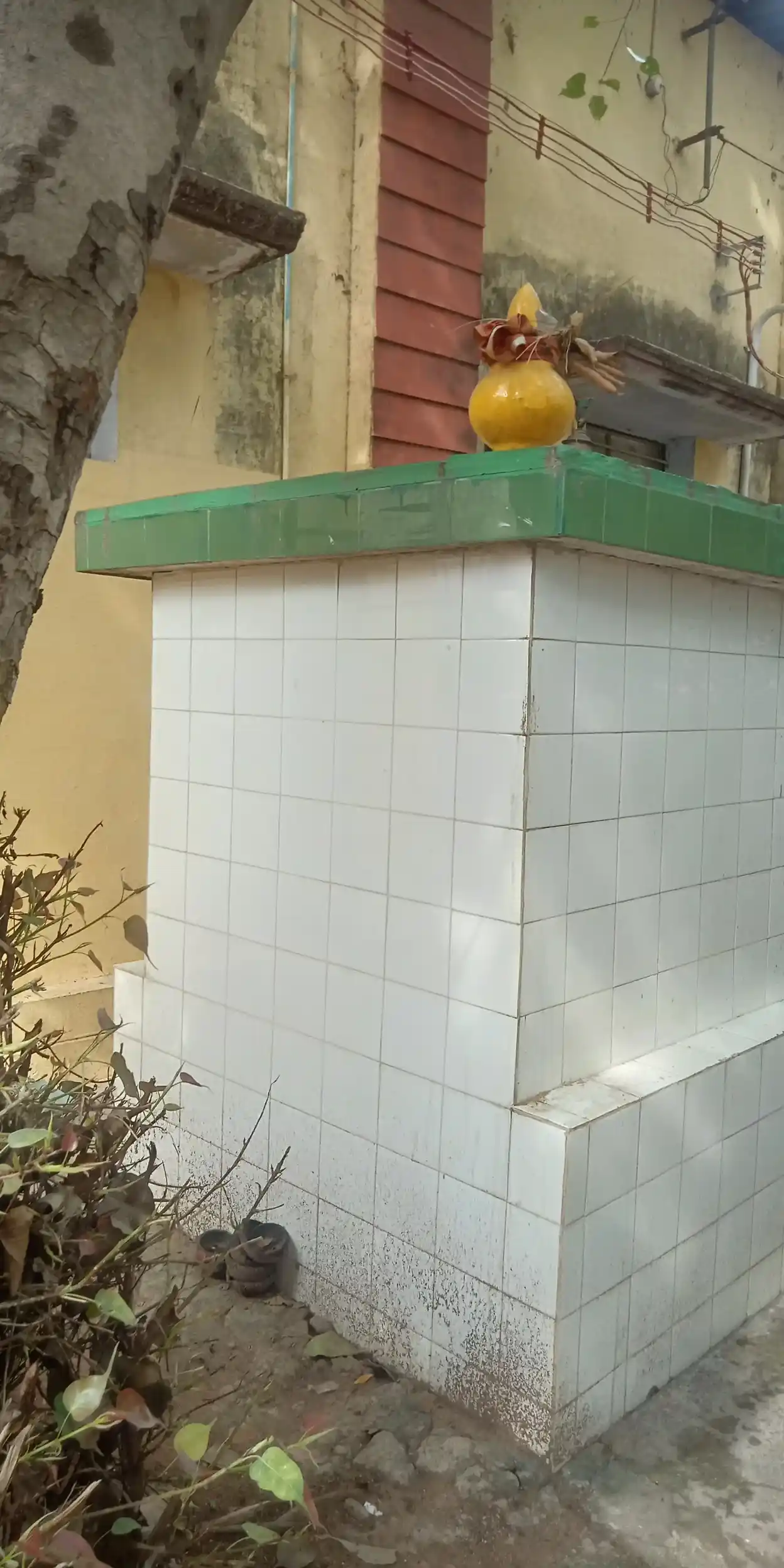 Arulmigu Kaamakodi Vinayakar Temple, Palayamkottai - 627002 Arulmigu Kaamakodi Vinayakar Temple, Palayamkottai - 627002, Tirunelveli - Ancient Temple Architecture and History Image 3