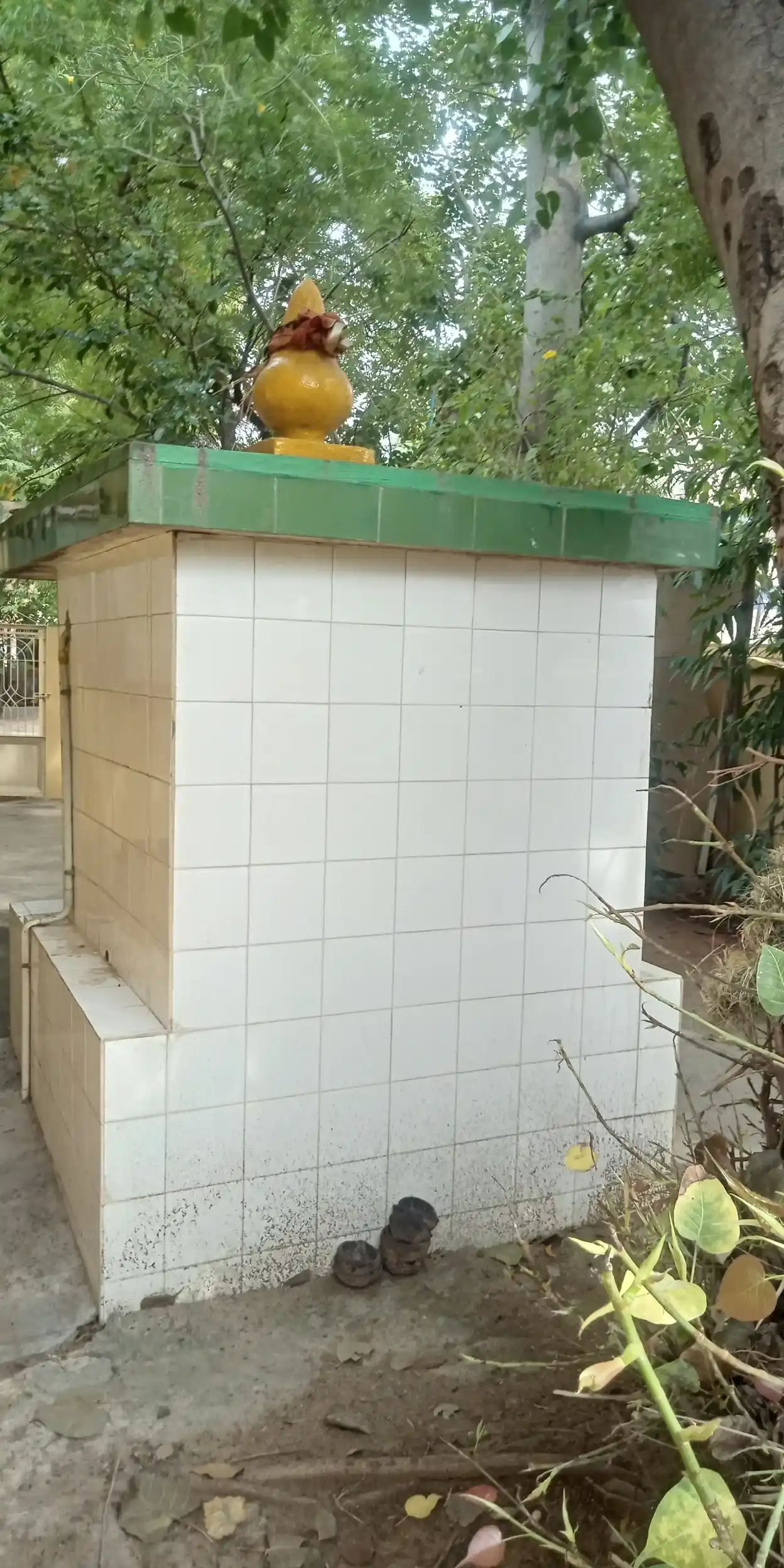 Arulmigu Kaamakodi Vinayakar Temple, Palayamkottai - 627002 Arulmigu Kaamakodi Vinayakar Temple, Palayamkottai - 627002, Tirunelveli - Ancient Temple Architecture and History Image 4