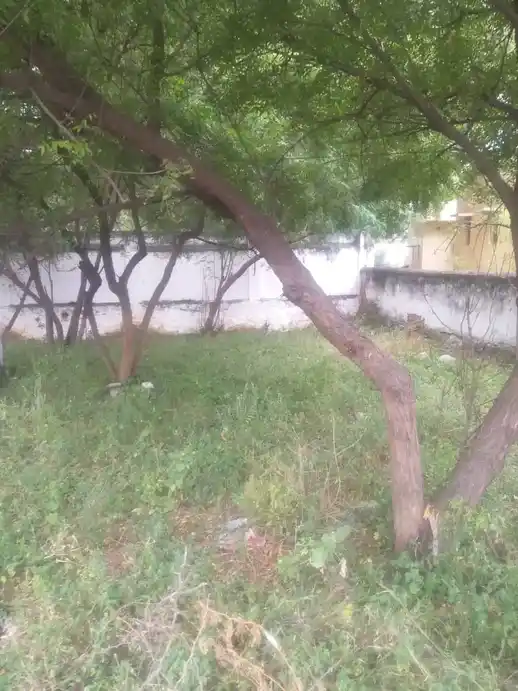 Arulmigu Kaamatchiyamman Temple, Palampalpuram - 639001 அருள்மிகு காமாட்சியம்மன் திருக்கோயில், Palampalpuram - 639001, Karur - Ancient Temple Architecture and History Image 3