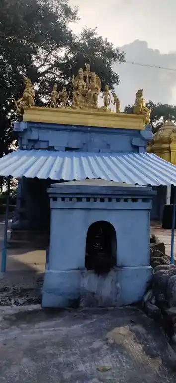 Arulmigu Kaasiviswanadhar Temple, Thirunandhipuram - 605652 அருள்மிகு காசிவிஸ்வநாதர் திருக்கோயில், Thirunandhipuram - 605652, Viluppuram - Ancient Temple Architecture and History Image 2
