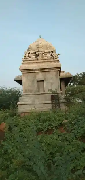 Arulmigu Kaattukkottaipatti Ayyanar Muniyan Temple, Killukkottai - 622502