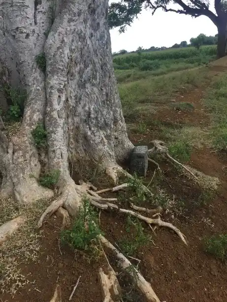 Arulmigu Kaatu Ayyanar Temple, Alunthalaipur - 624219 Arulmigu Kaatu ayyanar Temple,  - 624219, Thiruchirappalli - Ancient Temple Architecture and History Image 3