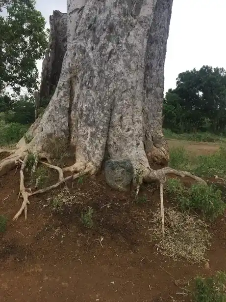 Arulmigu Kaatu Ayyanar Temple, Alunthalaipur - 624219 Arulmigu Kaatu ayyanar Temple,  - 624219, Thiruchirappalli - Ancient Temple Architecture and History Image 4