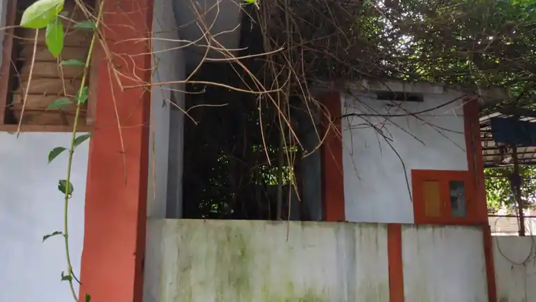 Arulmigu Kaavu Dharma Sastha Temple, Near Velli Pilliyar Kovil, South Pandaravilai - 629802 அருள்மிகு காவுதர்மசாஸ்தா திருக்கோயில், Near Velli Pilliyar Kovil, South Pandaravilai - 629802, Kanyakumari - Ancient Temple Architecture and History Image 3