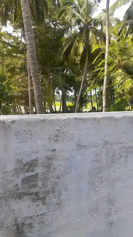 Arulmigu Kaayal Kandan Sastha Temple, Valukamparai, Mylaadi - 629704 அருள்மிகு காயல்கண்டன் சாஸ்தா திருக்கோயில், Valukamparai, Mylaadi - 629704, Kanyakumari - Ancient Temple Architecture and History Image 4