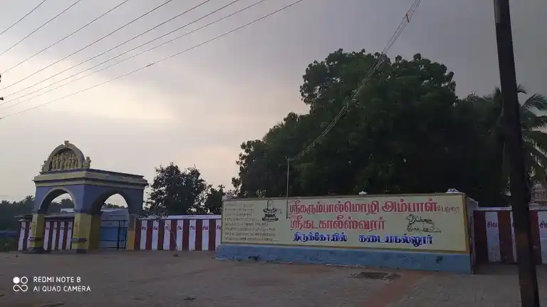 Arulmigu Kadagalishwarar Temple, Kadayanallur - 627751 அருள்மிகு கடகாலீஸ்வரர் திருக்கோயில், Kadayanallur - 627751, Tenkasi - Ancient Temple Architecture and History Image 2