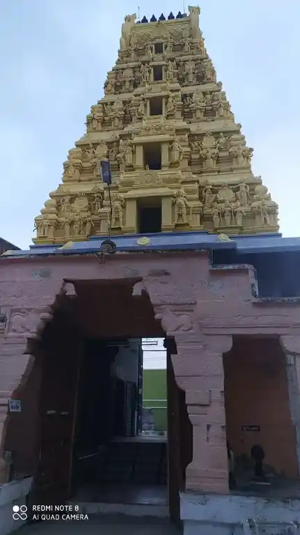 Arulmigu Kadagalishwarar Temple, Kadayanallur - 627751 அருள்மிகு கடகாலீஸ்வரர் திருக்கோயில், Kadayanallur - 627751, Tenkasi - Ancient Temple Architecture and History Image 3