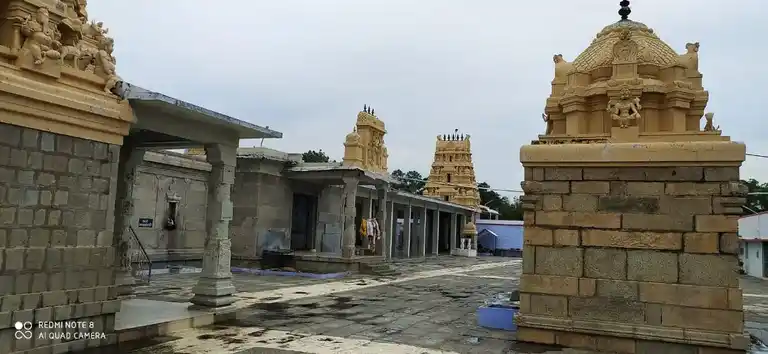 Arulmigu Kadaiyeeswarar Temple, Kadaiyur, Kankeyam - 638701 அருள்மிகு காடையீஸ்வரர் திருக்கோயில், Kadaiyur, Kankeyam - 638701, Tiruppur - Ancient Temple Architecture and History Image 4