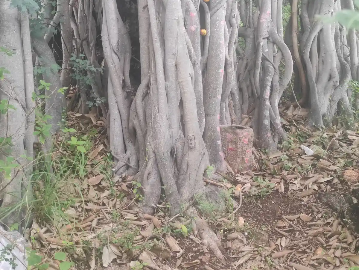Arulmigu Kadavankuruchi Perumal Temple, Bodiagoundenpatty - 624219 அருள்மிகு கடவன்குறிச்சி பெருமாள் திருக்கோயில், Bodiagoundenpatty - 624219, Dindigul - Ancient Temple Architecture and History Image 3
