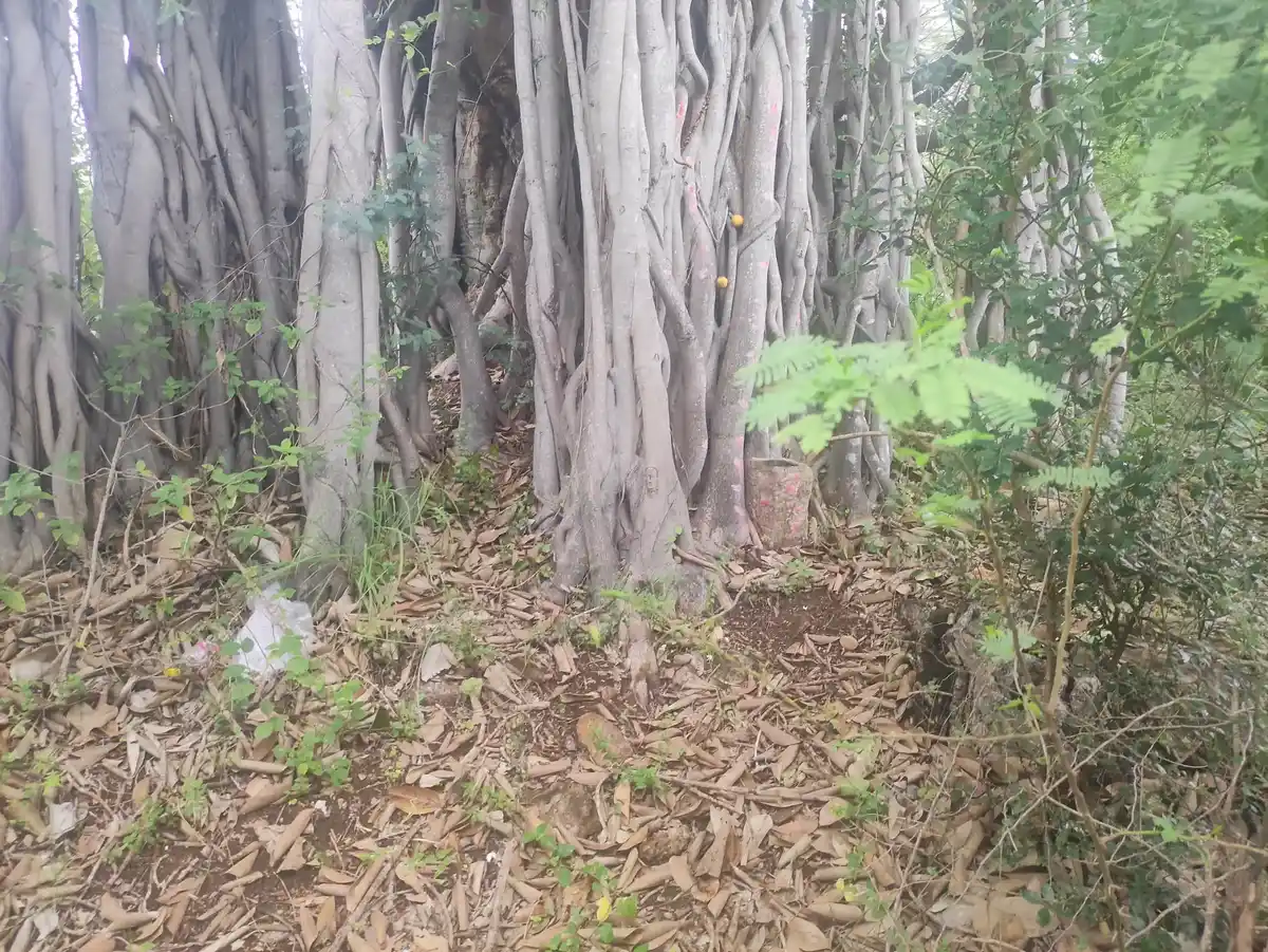 Arulmigu Kadavankuruchi Perumal Temple, Bodiagoundenpatty - 624219 அருள்மிகு கடவன்குறிச்சி பெருமாள் திருக்கோயில், Bodiagoundenpatty - 624219, Dindigul - Ancient Temple Architecture and History Image 5