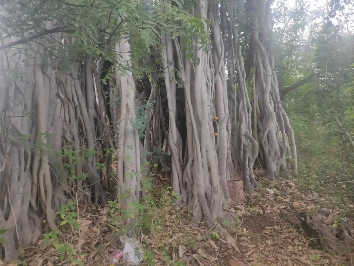 Arulmigu Kadavankuruchi Perumal Temple, Bodiagoundenpatty - 624219 அருள்மிகு கடவன்குறிச்சி பெருமாள் திருக்கோயில், Bodiagoundenpatty - 624219, Dindigul - Ancient Temple Architecture and History Image 7