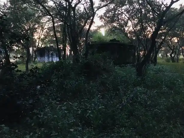 Arulmigu Kadiri Narasimma Swamy Temple, Alepuram - 636810 அருள்மிகு கதிரிநரசிம்மசாமி திருக்கோயில், Alepuram - 636810, Dharmapuri - Ancient Temple Architecture and History Image 3