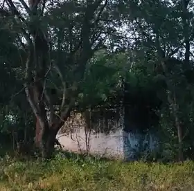 Arulmigu Kadiri Narasimma Swamy Temple, Alepuram - 636810 அருள்மிகு கதிரிநரசிம்மசாமி திருக்கோயில், Alepuram - 636810, Dharmapuri - Ancient Temple Architecture and History Image 7