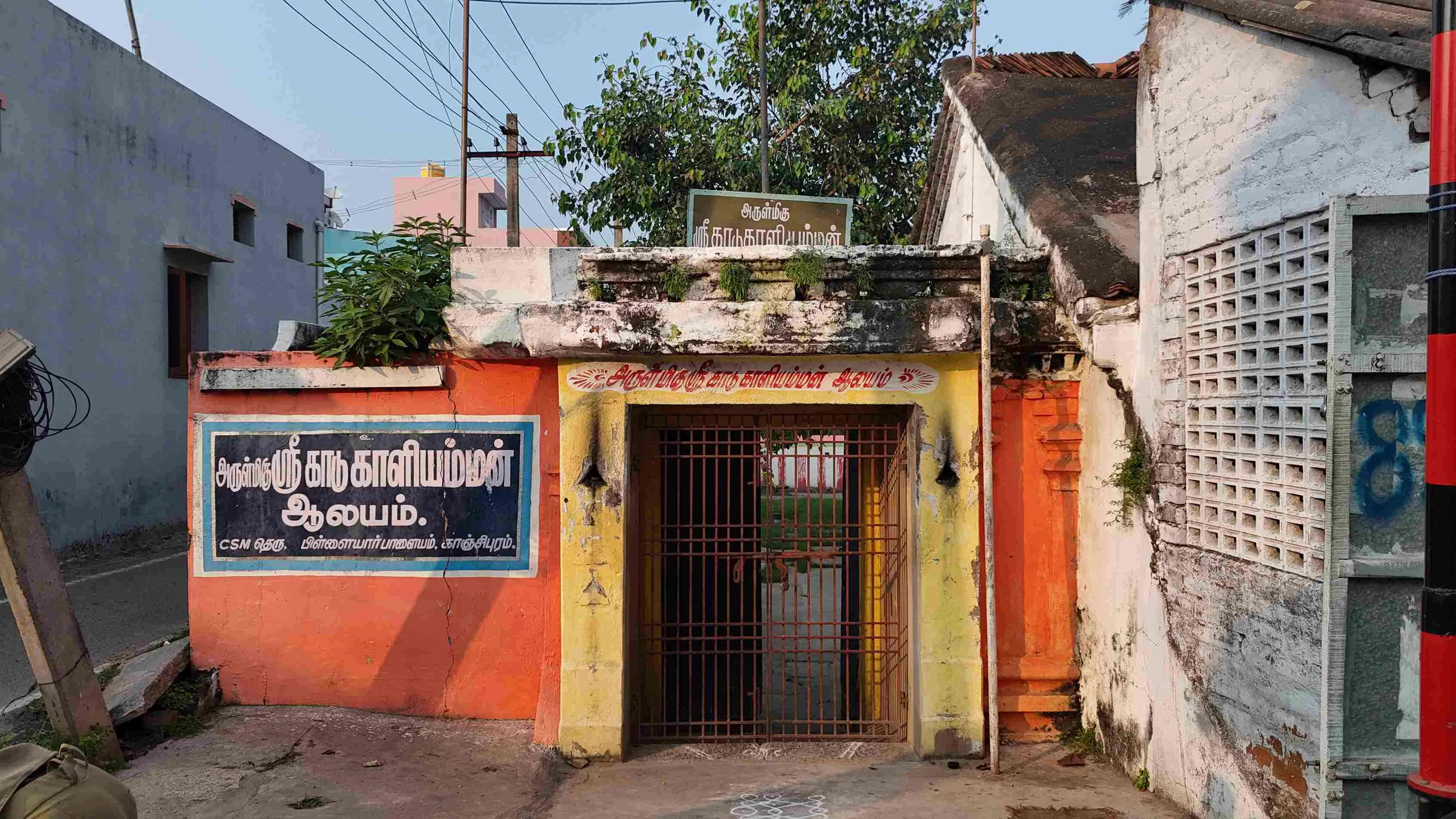 அருள்மிகு காடுகாளியம்மன் திருக்கோயில், பிள்ளையார்பாளையம், காஞ்சிபுரம் - 631501 - Main View