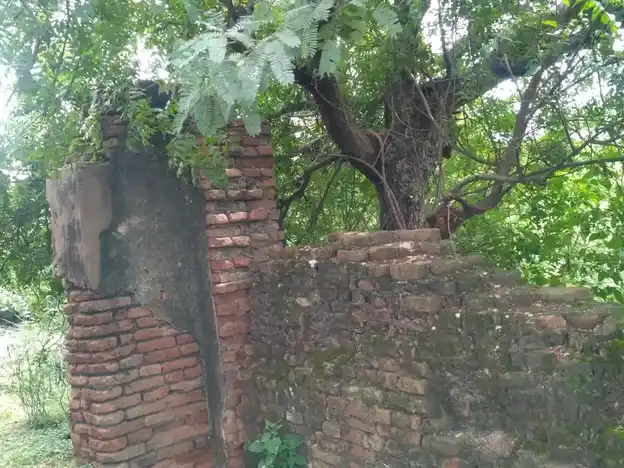 Arulmigu Kadukurichi Iyyannar Temple, Periyakkurichi - 607802 அருள்மிகு கடுக்குறிச்சி அய்யனார் திருக்கோயில், பெரியாகுறிச்சி - 607802, Cuddalore - Ancient Temple Architecture and History Image 2
