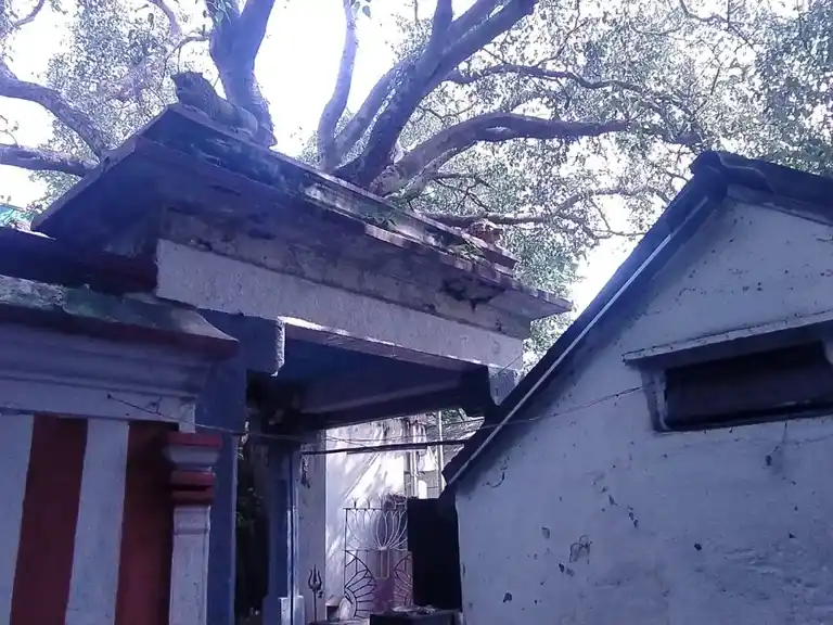 Arulmigu Kadumbadiamman Temple, Triplicane, Chennai - 600005