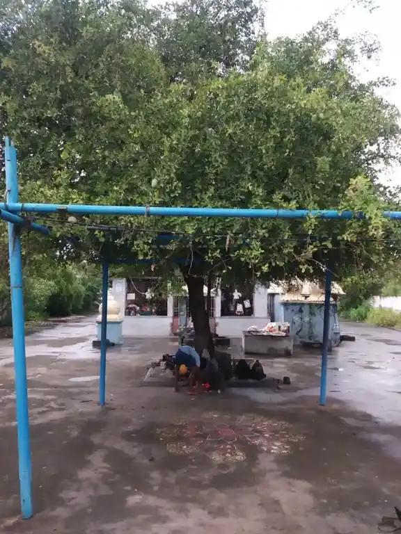 Arulmigu Kailaasanadhar Temple, Manjapuththur - 606208