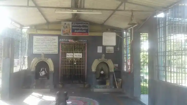 Arulmigu Kailaasanathar Temple, Chettypunniyam - 603204 அருள்மிகு கைலாசநாதர் திருக்கோயில், செட்டிபுண்ணியம் - 603204, Chengalpattu - Ancient Temple Architecture and History Image 4