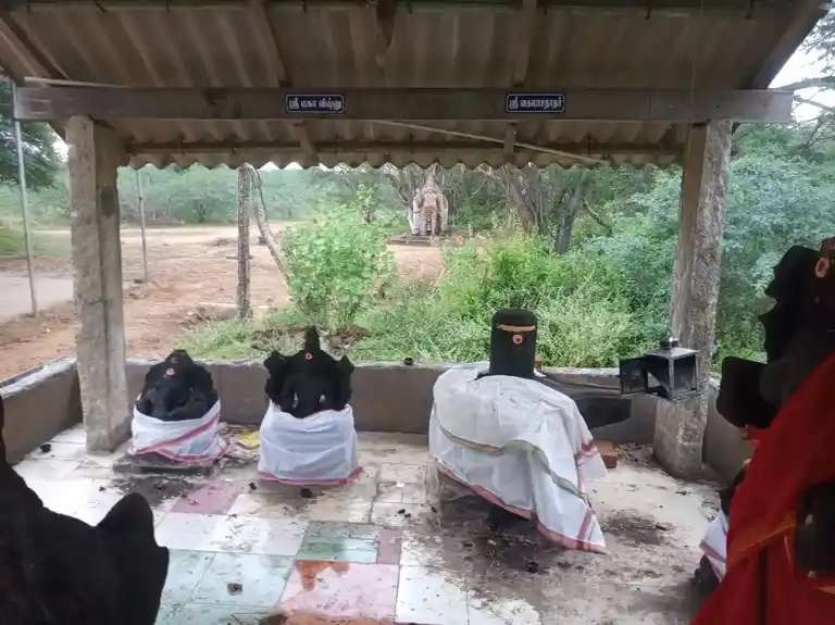 Arulmigu Kailaasathaartemple, Kannangudi - 622504 அருள்மிகு கைலாசநாதர் திருக்கோயில், கண்ணங்குடி - 622504, Pudukkottai - Ancient Temple Architecture and History Image 5