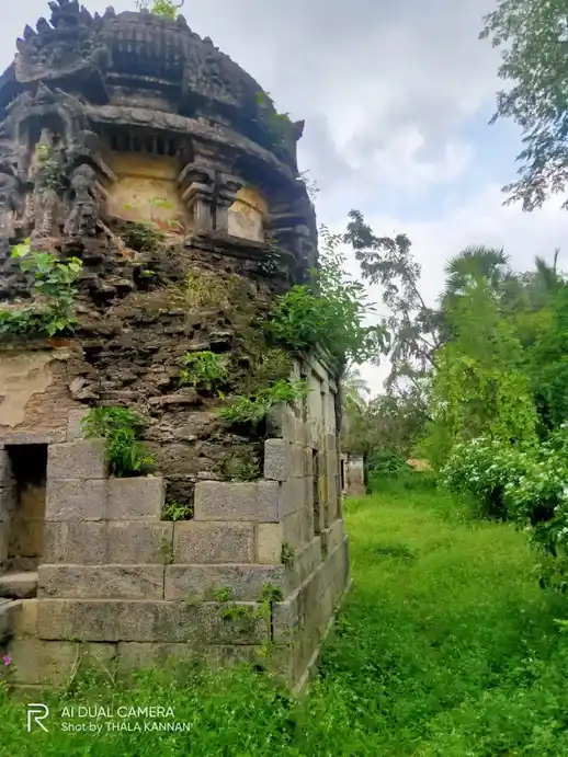 Arulmigu Kailasanaathar Temple, Thirumoolasthanam, Kattumannarkoil - 608301 அருள்மிகு கைலாசநாதர் திருக்கோயில், திருமூலஸ்தானம், காட்டுமன்னார்கோயில் - 608301, Cuddalore - Ancient Temple Architecture and History Image 5