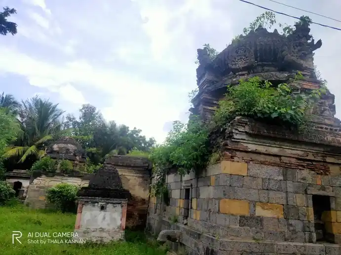 Arulmigu Kailasanaathar Temple, Thirumoolasthanam, Kattumannarkoil - 608301 அருள்மிகு கைலாசநாதர் திருக்கோயில், திருமூலஸ்தானம், காட்டுமன்னார்கோயில் - 608301, Cuddalore - Ancient Temple Architecture and History Image 9