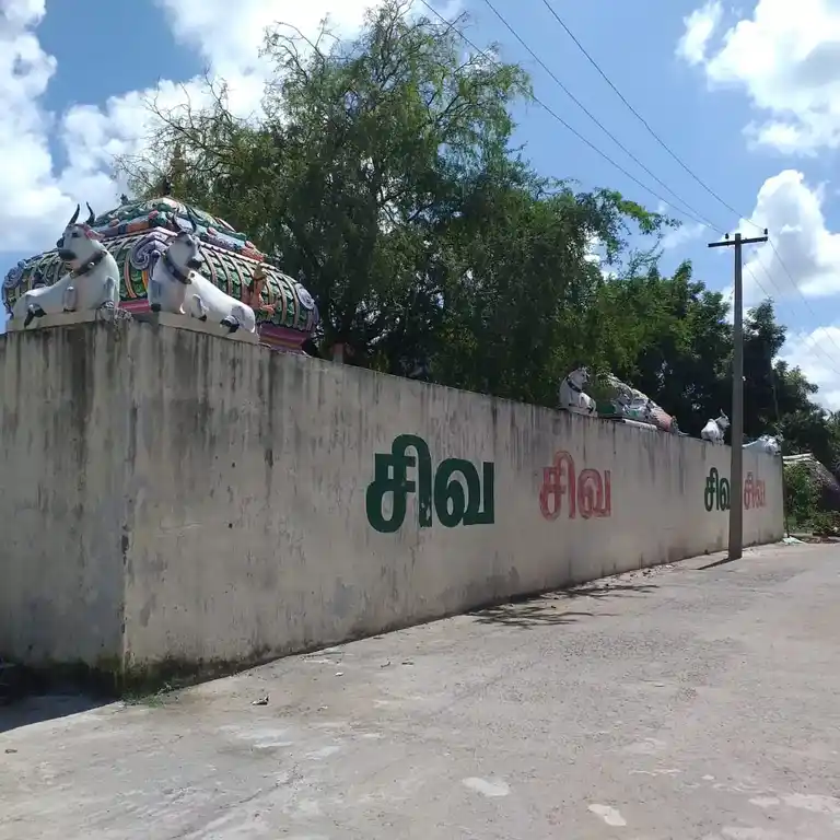Arulmigu Kailasanadar Temple, Chozhavalli - 607105 அருள்மிகு கைலாசநாதர் திருக்கோயில், Chozhavalli - 607105, Cuddalore - Ancient Temple Architecture and History Image 2