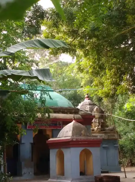 Arulmigu Kailasanatha Swamy Temple, Agarathirunallur - 610104 அருள்மிகு கைலாசநாதர் திருக்கோயில், Agarathirunallur - 610104, Thiruvarur - Ancient Temple Architecture and History Image 6