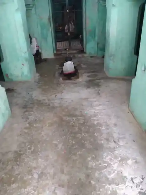 Arulmigu Kailasanatha Swamy Temple, Perumpannaiyur - 612603 அருள்மிகு கைலாசநாதர் திருக்கோயில், பெரும்பன்னையூர் - 612603, Thiruvarur - Ancient Temple Architecture and History Image 4