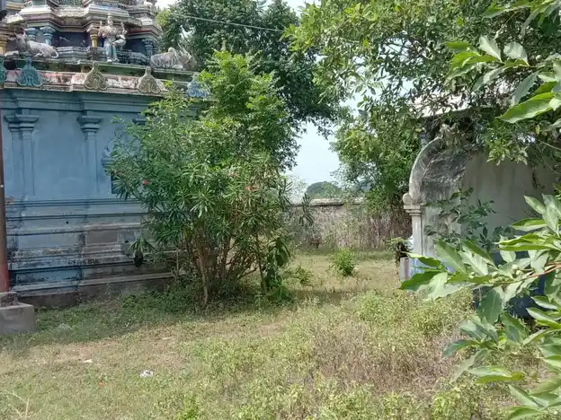 Arulmigu Kailasanatha Temple, Paalaiyur - 612203 அருள்மிகு கைலாசநாதசுவாமி திருக்கோயில், பாலையூர் - 612203, Mayiladuthurai - Ancient Temple Architecture and History Image 4