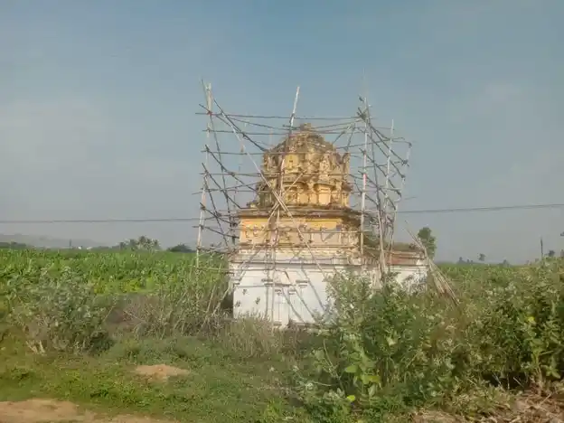 Arulmigu Kailasanathar And Venkadajalapathi Swamy Temple, Kadamboduvalvu - 627108 அருள்மிகு கைலாசநாதர் மற்றும் வெங்கடாசலபதி திருக்கோயில், Kadamboduvalvu - 627108, Tirunelveli - Ancient Temple Architecture and History Image 6