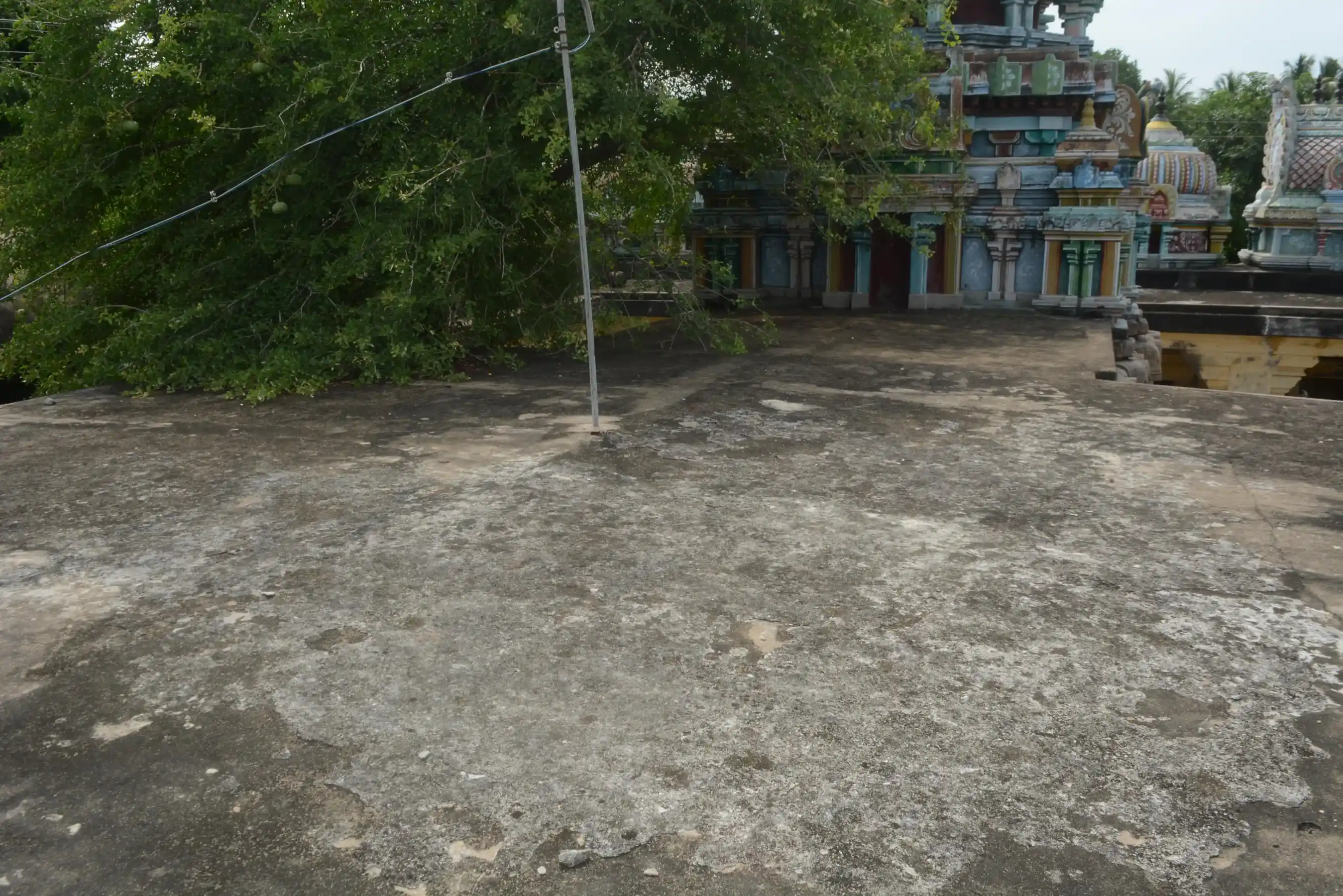 Arulmigu Kailasanathar And Yegambareswarar Temple, Rishiyur - 614403 அருள்மிகு கைலாசநாதர் மற்றும் ஏகாம்பரேஷ்வரர் திருக்கோயில், Rishiyur - 614403, Thiruvarur - Ancient Temple Architecture and History Image 4