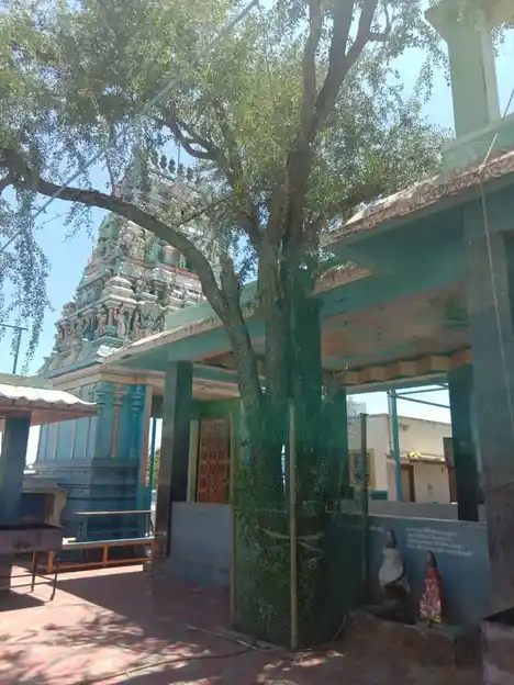 Arulmigu Kailasanathar Swamy Temple, Poomallian Kulam, Pattukkottai - 614602 அருள்மிகு கைலாசநாத சுவாமி திருக்கோயில், Pattukkottai - 614602, Thanjavur - Ancient Temple Architecture and History Image 3