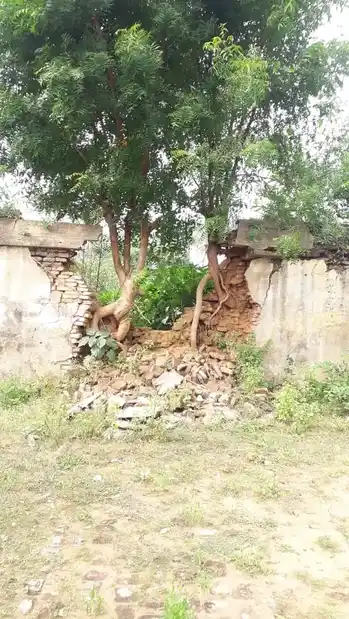 Arulmigu Kailasanathar Temple, Alamankurichi, Alamankurichi - 612303 அருள்மிகு கைலாசநாதர் திருக்கோயில், Aalamankurichi, Alamankurichi - 612303, Thanjavur - Ancient Temple Architecture and History Image 2