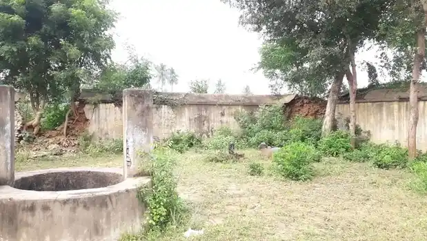 Arulmigu Kailasanathar Temple, Alamankurichi, Alamankurichi - 612303 அருள்மிகு கைலாசநாதர் திருக்கோயில், Aalamankurichi, Alamankurichi - 612303, Thanjavur - Ancient Temple Architecture and History Image 4