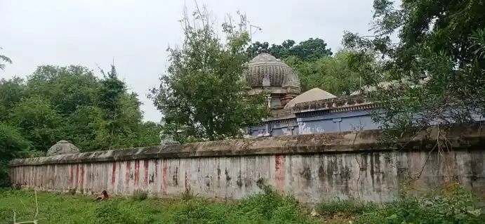 Arulmigu Kailasanathar Temple, Andarpandhi - 609503 அருள்மிகு கைலாசநாதர் திருக்கோயில், Andarpandhi - 609503, Thiruvarur - Ancient Temple Architecture and History Image 5