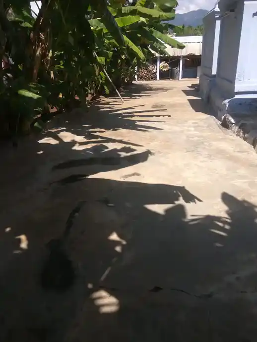 Arulmigu Kailasanathar Temple, Bus Stand Back Side, Attur - 636102 அருள்மிகு &nbspகைலாசநாதர் &nbspதிருக்கோவில், பேருந்து நிலையம் பின்புறம், ஆத்தூர் - 636102, Salem - Ancient Temple Architecture and History Image 3