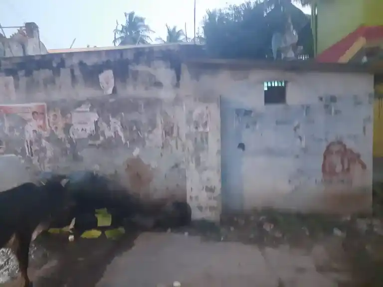 Arulmigu Kailasanathar Temple, Centre Of The Village, Chinnambedu - 601206 Temple