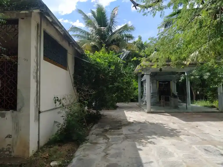 Arulmigu Kailasanathar Temple, Dharapadavedu - 632006 அருள்மிகு கைலாசநாதர் திருக்கோயில், தரபடவேடு - 632006, Vellore - Ancient Temple Architecture and History Image 4