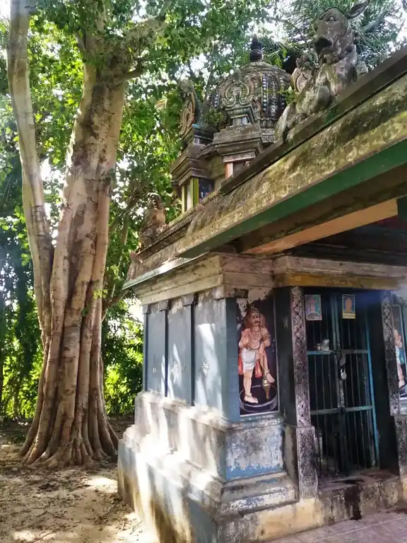 Arulmigu Kailasanathar Temple, Gopalasamuthiram - 609108 Arulmigu Kailasanathar Temple, Sirkazhi - 609108, Mayiladuthurai - Ancient Temple Architecture and History Image 3