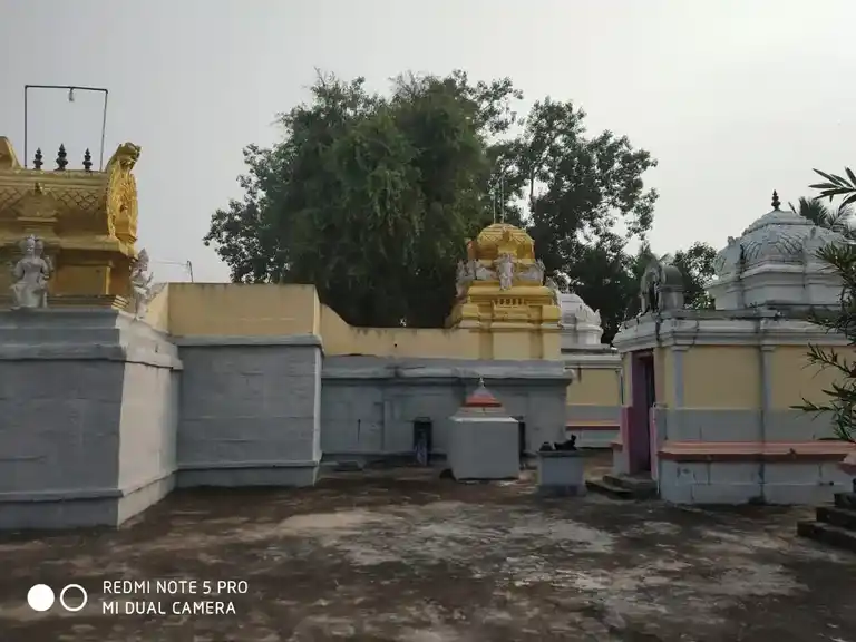 Arulmigu Kailasanathar Temple, Kailasanathar Templearea, Pandravedu - 631207 அருள்மிகு கைலாசநாதர் திருக்கோயில், Kailasanathar Templearea, Pandravedu - 631207, Tiruvallur - Ancient Temple Architecture and History Image 2