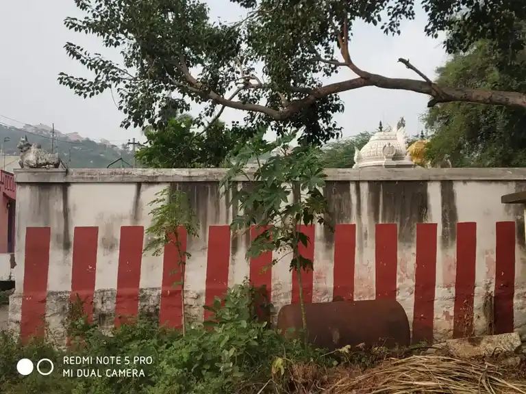 Arulmigu Kailasanathar Temple, Kailasanathar Templearea, Pandravedu - 631207 அருள்மிகு கைலாசநாதர் திருக்கோயில், Kailasanathar Templearea, Pandravedu - 631207, Tiruvallur - Ancient Temple Architecture and History Image 4