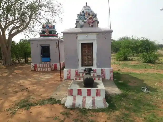 Arulmigu Kailasanathar Temple, Karuva Nallur - 627012 அருள்மிகு கைலாசநாதர் திருக்கோயில், கருவநல்லூா் - 627012, Tirunelveli - Ancient Temple Architecture and History Image 3