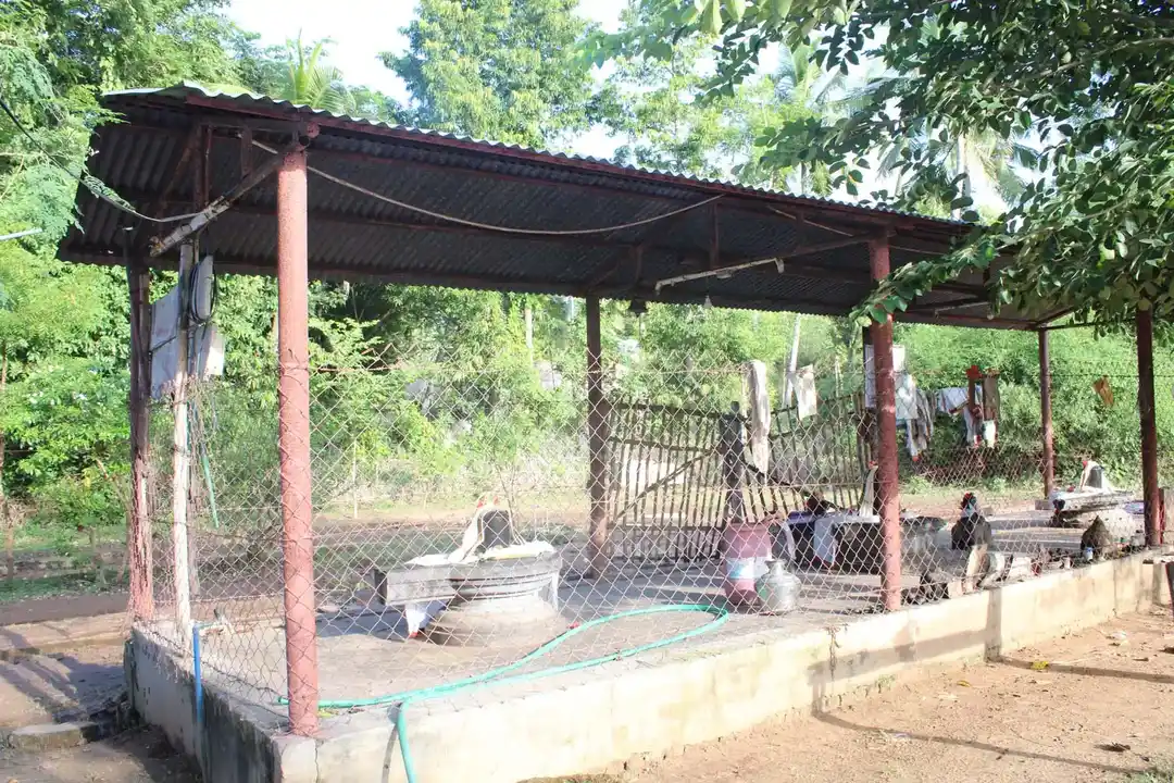 Arulmigu Kailasanathar Temple, Kunathalapadi - 612106 Arulmigu Kailasanathar Temple, குணதலபாடி - 612106, Thanjavur - Ancient Temple Architecture and History Image 5