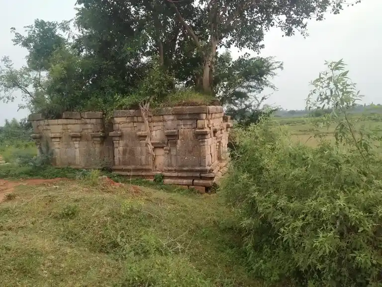 Arulmigu Kailasanathar Temple, Nagamangalam - 621701 அருள்மிகு கைலாசநாதர் திருக்கோயில், Nagamangalam - 621701, Ariyalur - Ancient Temple Architecture and History Image 2
